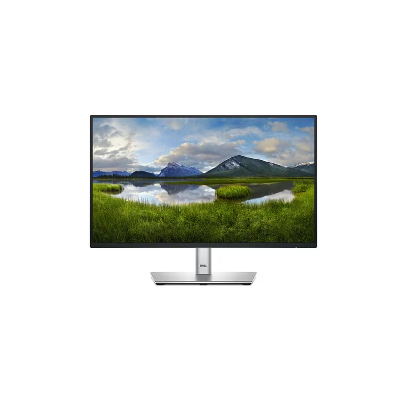 Monitor Dell Profesional P2225H-22 pulgadas- FHD (1920 x 1080 Hasta 100 Hz)-Sistema de luz LED en el borde-Relación de aspecto