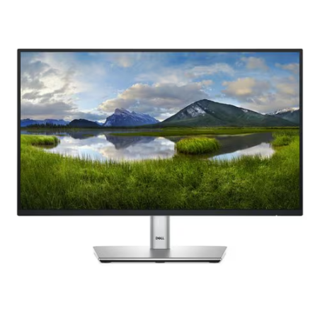Monitor Dell Profesional P2225H-22 pulgadas- FHD (1920 x 1080 Hasta 100 Hz)-Sistema de luz LED en el borde-Relación de aspecto