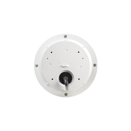 Camara Domo Ptz Ip 2mp (1080p) 30x De Zoom  Dia/noche Icr  Wdr  Ik10/ip66  Calefactor   Audio De Dos Vias  Smart Failover  Estab