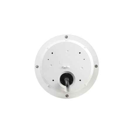Camara Domo Ptz Ip 2mp (1080p) 30x De Zoom  Dia/noche Icr  Wdr  Ik10/ip66  Calefactor   Audio De Dos Vias  Smart Failover
