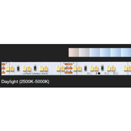 (radiora3) Riel 5 Metros Cinta Led De Color Blanco Suave (2500 K  5000 K)