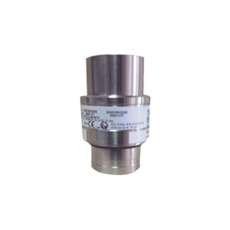 Sensor De Cloro (ci2) Concentración 05.0 Ppm Para Serie Xnx