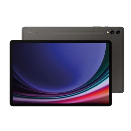 Tablet Samsung Galaxy Tab S9+ 12.4 pulgadas Octacore 256GB Ram 12GB Android Color Gris
