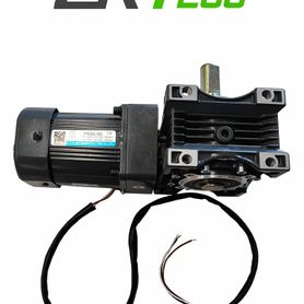 57908img