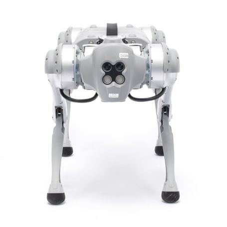 Perro Robot Biónico Para Inspección / Inteligencia Artificial / Reconocimiento De Humanos / Incluye 1 Control Remoto / Tareas Pr
