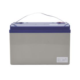 bateria 12 vcc  110 ah  ciclo profundo  agmvrla  uso en aplicación fotovoltaica terminales tipo tornillo hex m671055