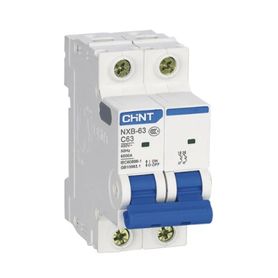 pastilla para riel din 2 polos 40 amp vca110415v 10ka catálogo nxb632pc40 serie nxb63
