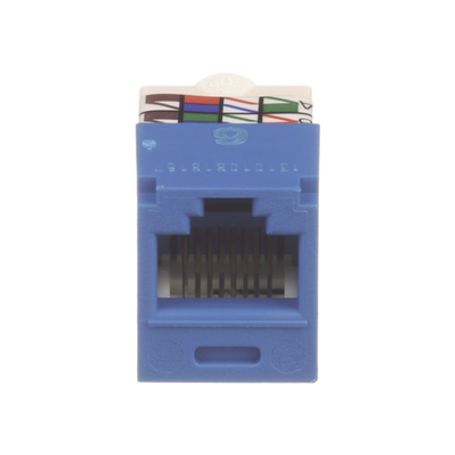 Conector Jack Rj45 Estilo Tp Minicom Categoria 6 De 8 Posiciones Y 8 Cables Color Azul