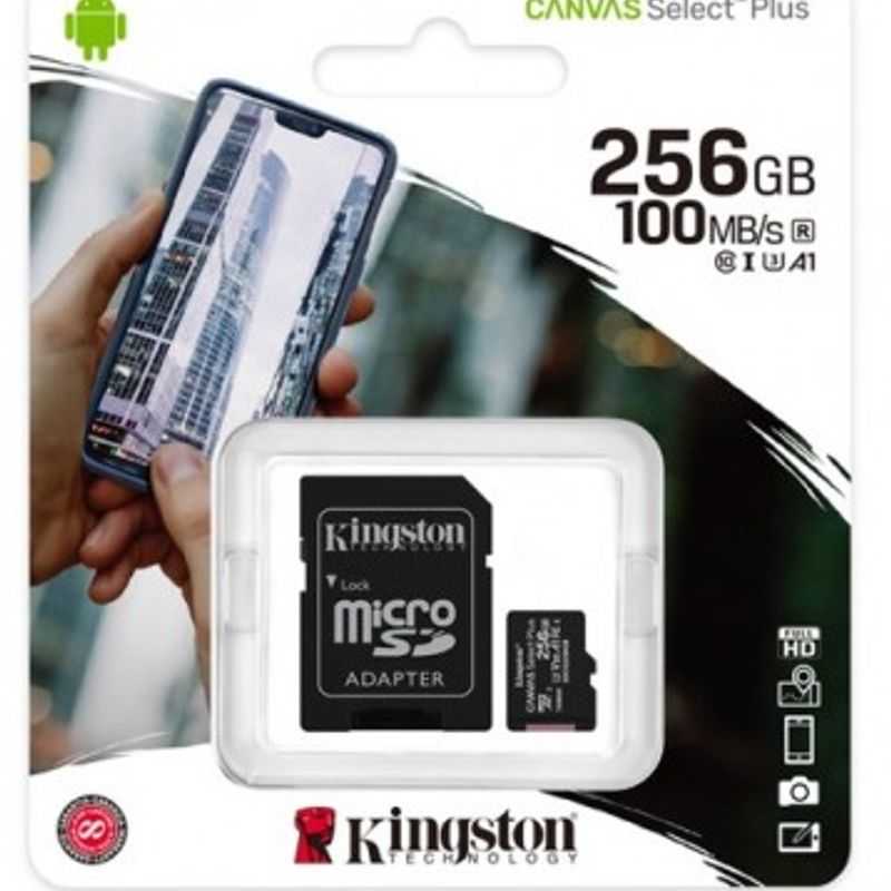 MICRO SD Kingston Technology MEMKGN1910 256 GB Negro TL1 