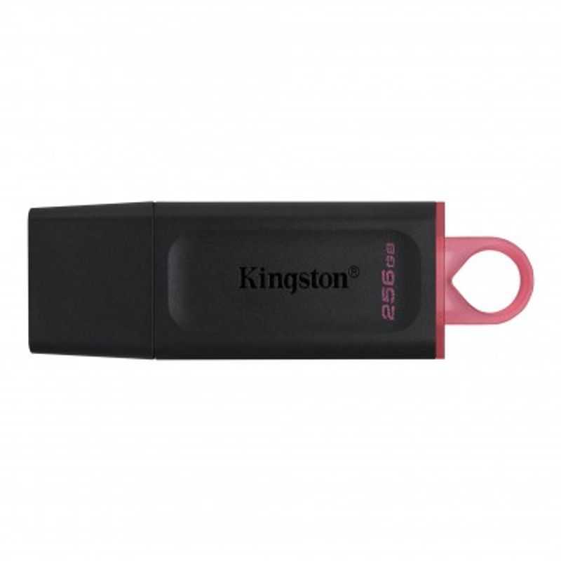 Memoria USB Kingston Technology DTX/256GB Negro 256 GB USB TL1 