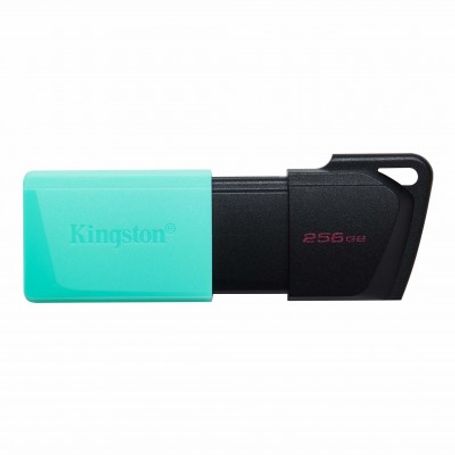 Memoria USB de 256GB Kingston DTXM/256GB (Black  Teal) TL1 