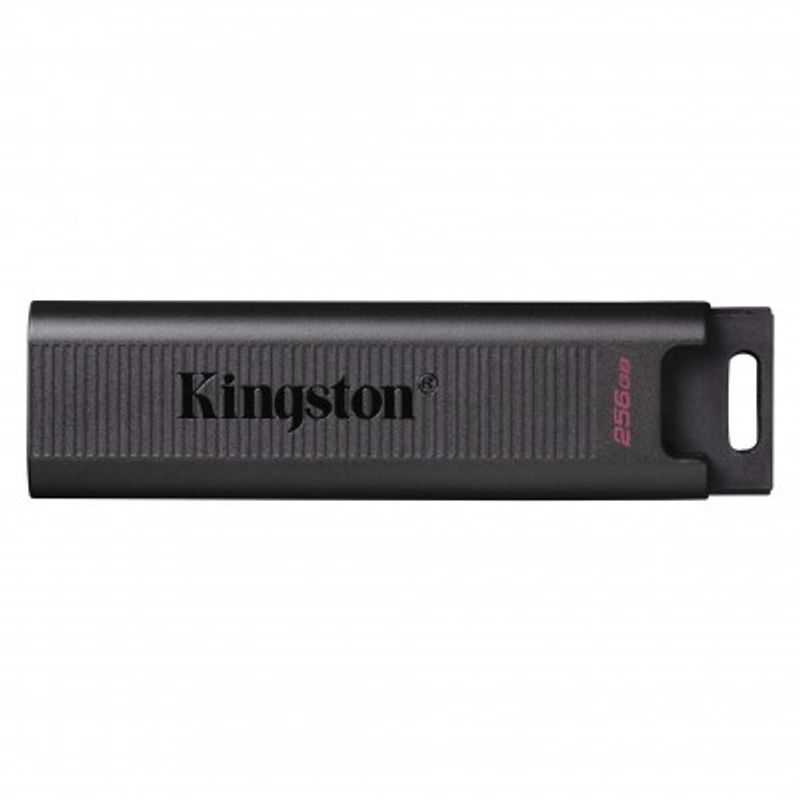 Memoria USB de 256GB Kingston DTMAX/256GB TL1 