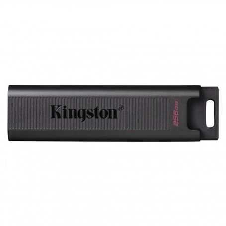 memoria usb kingston technology dtmax256gb