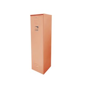 barrera vehicular came serie g3750  gabinete color naranja sin accesorios163332