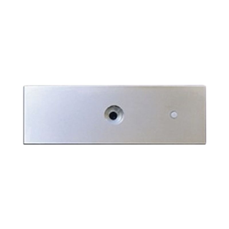 Refacción Placa Para Chapa Magnética Mag1200 Mag1200led  No Incluye Tornilleria