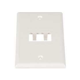 placa de pared vertical clásica salida para 2 puertos minicom color blanco mate164169