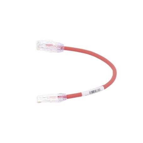 Cable De Parcheo Utp Cat6a Diámetro Reducido (28 Awg) Cm/lszh Color Rojo 8in (20.3cm)