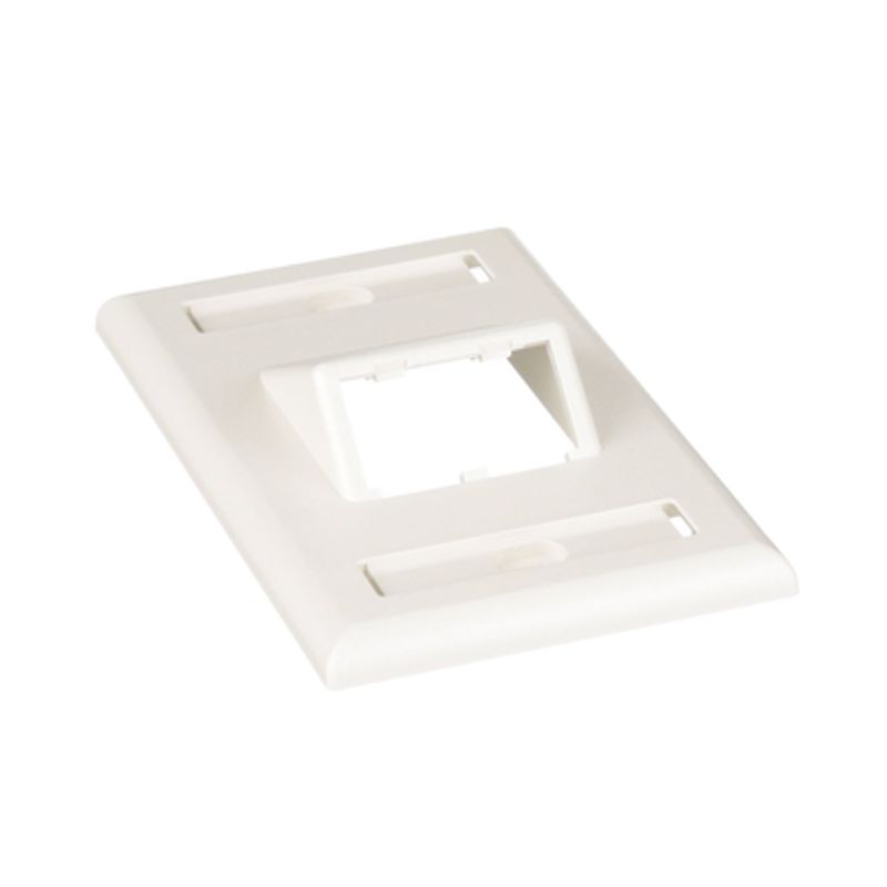Placa De Pared Vertical Clásica Salida Para 2 Puertos Minicom Inclinados Con Espacios Para Etiquetas Color Blanco Mate 