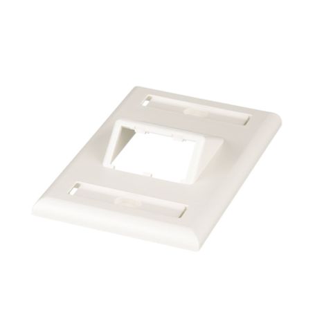 Placa De Pared Vertical Clásica Salida Para 2 Puertos Minicom Inclinados Con Espacios Para Etiquetas Color Blanco Mate 