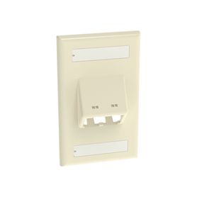 placa de pared vertical clásica salida para 2 puertos minicom inclinados con espacios para etiquetas color marfil178315