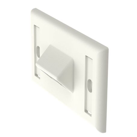 Placa De Pared Horizontal Salida Para 2 Puertos Keystone Con Espacios Para Etiquetas Color Blanco Mate