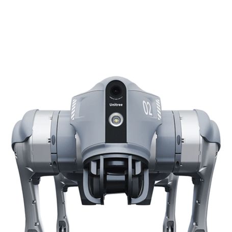 Perro Robot Biónico Para Inspección / Inteligencia Artificial / Reconocimiento De Humanos / Incluye 1 Control Remoto / Tareas Pr