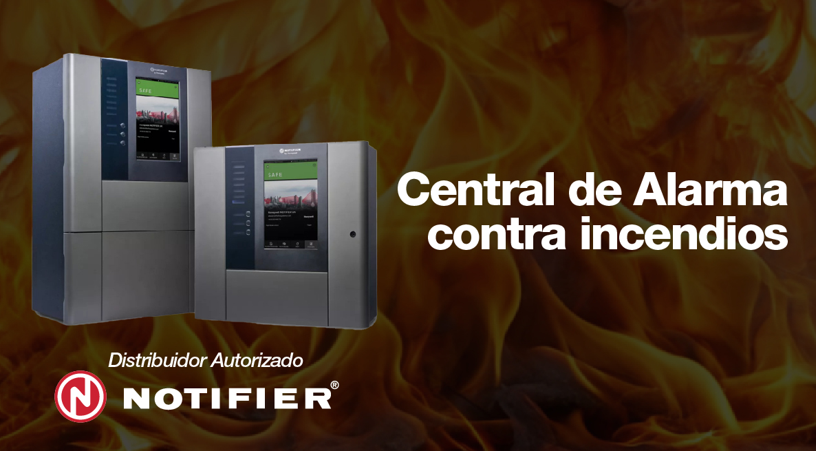 Descubre 4