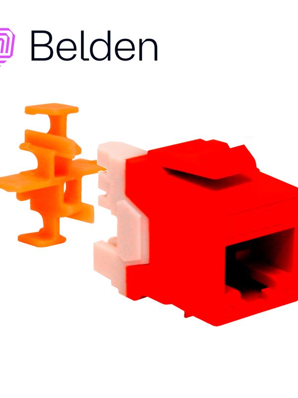 Conector Modular Jack Rj45 Cat6a Belden Ax104152  Estilo Keyconnect Naranja Compatible Con Faceplate Ax102660,ax102655,ax102249 Patch Panel Modular Ax103114,ax103115,ax104599 Esquema De Cableado T568a/b Herramienta Compatible Ax100749 Uso Interior Calibre Del Conductor 22-24 Awg