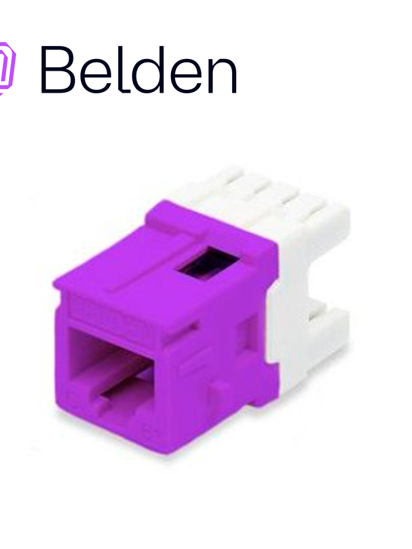 Conector Modular Jack Cat6+ Rj45 Belden Ax104194 / Keyconnect / Interior / Purpura / Pieza