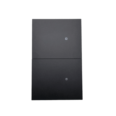Apagador inalámbrico ZigBee 110-220V 2 GANG